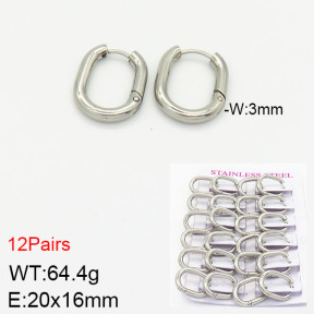 Stainless Steel Earrings  2E2001735alka-617