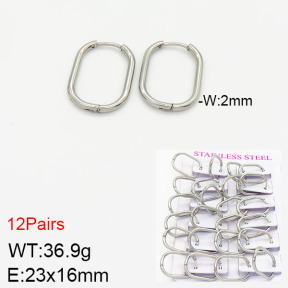 Stainless Steel Earrings  2E2001737ajma-617
