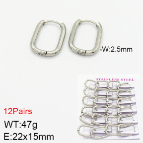 Stainless Steel Earrings  2E2001739ajma-617