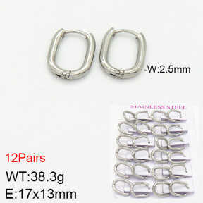 Stainless Steel Earrings  2E2001741ajma-617