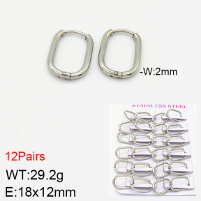 Stainless Steel Earrings  2E2001743ajma-617