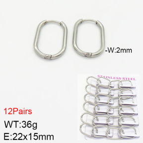 Stainless Steel Earrings  2E2001745ajma-617