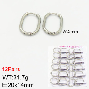 Stainless Steel Earrings  2E2001747ajma-617