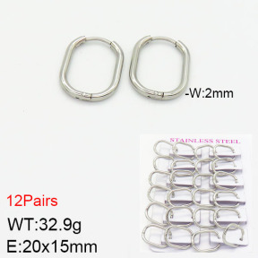 Stainless Steel Earrings  2E2001749ajma-617