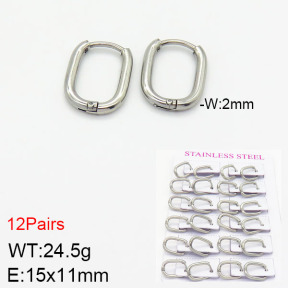 Stainless Steel Earrings  2E2001751ajma-617