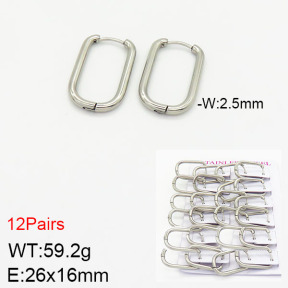 Stainless Steel Earrings  2E2001753ajma-617