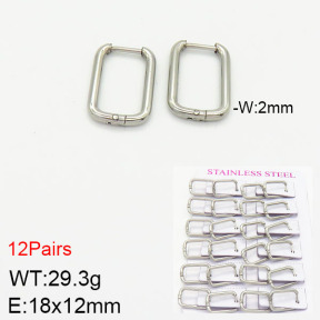 Stainless Steel Earrings  2E2001757ajma-617