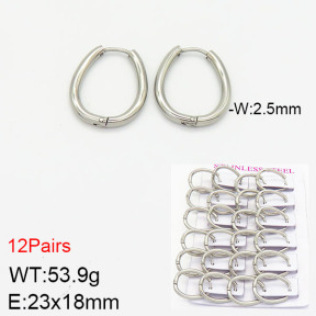 Stainless Steel Earrings  2E2001761ajma-617