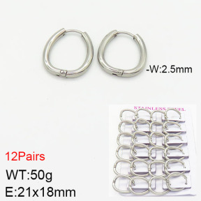 Stainless Steel Earrings  2E2001763ajma-617