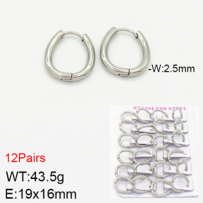 Stainless Steel Earrings  2E2001765ajma-617