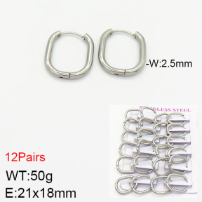 Stainless Steel Earrings  2E2001769ajma-617