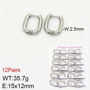 Stainless Steel Earrings  2E2001771ajma-617