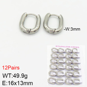 Stainless Steel Earrings  2E2001773ajma-617
