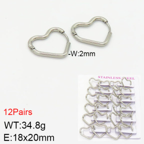 Stainless Steel Earrings  2E2001775ajma-617