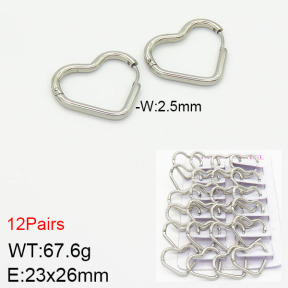 Stainless Steel Earrings  2E2001778ajma-617