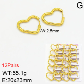 Stainless Steel Earrings  2E2001779akia-617