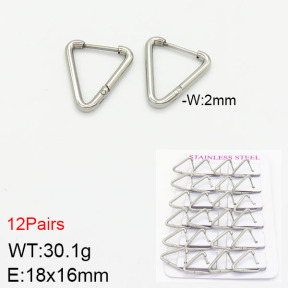 Stainless Steel Earrings  2E2001782ajma-617