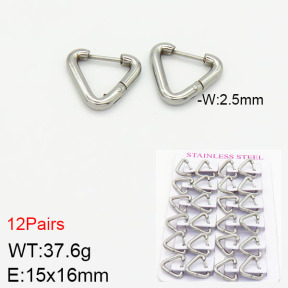 Stainless Steel Earrings  2E2001786ajma-617