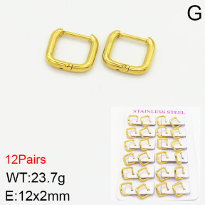 Stainless Steel Earrings  2E2001789akia-617