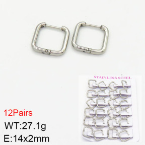 Stainless Steel Earrings  2E2001790ajma-617