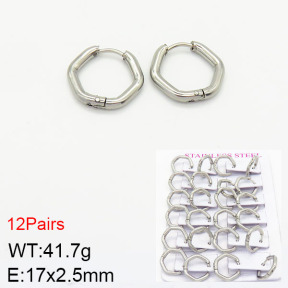 Stainless Steel Earrings  2E2001795ajma-617