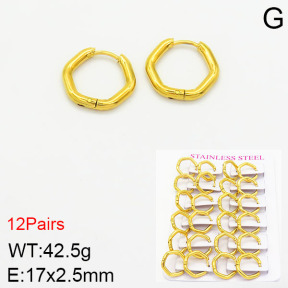 Stainless Steel Earrings  2E2001796akia-617