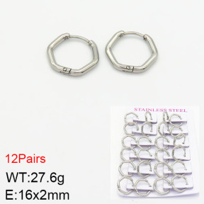 Stainless Steel Earrings  2E2001797ajma-617