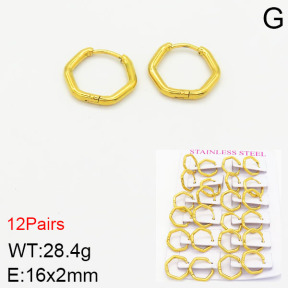 Stainless Steel Earrings  2E2001798akia-617