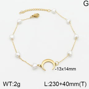 Stainless Steel Anklets  5A9000727ablb-610