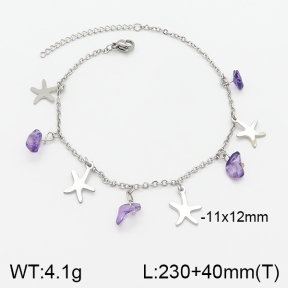 Stainless Steel Anklets  5A9000743ablb-610
