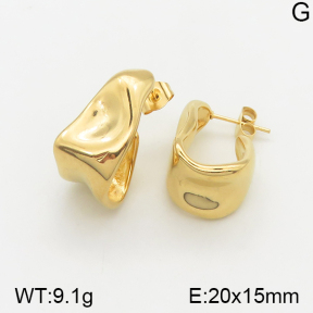 Stainless Steel Earrings  5E2002198bbov-334