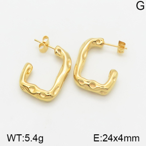 Stainless Steel Earrings  5E2002217bbov-334