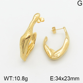 Stainless Steel Earrings  5E2002225bbov-334