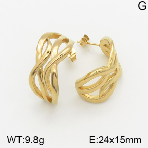 Stainless Steel Earrings  5E2002239bbov-334