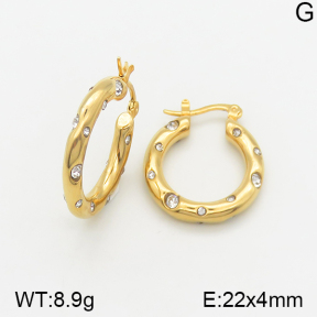 Stainless Steel Earrings  5E4002015vbpb-334