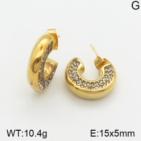 Stainless Steel Earrings  5E4002017bhva-334