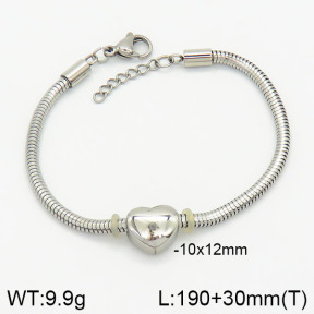 Stainless Steel Bracelet  2B2002068vbpb-317