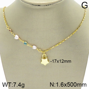 Stainless Steel Necklace  2N3001107vbll-420