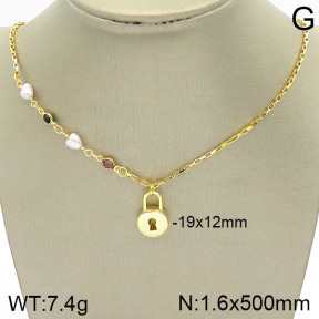 Stainless Steel Necklace  2N3001108vbll-420