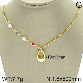 Stainless Steel Necklace  2N3001110vbll-420