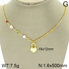 Stainless Steel Necklace  2N3001111vbll-420