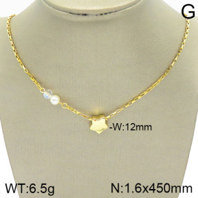 Stainless Steel Necklace  2N3001112vbll-420