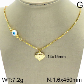 Stainless Steel Necklace  2N3001114vbll-420