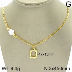 Stainless Steel Necklace  2N3001115vbll-420
