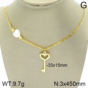 Stainless Steel Necklace  2N3001119vbll-420