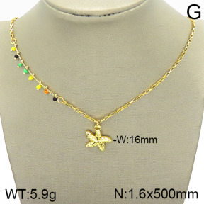 Stainless Steel Necklace  2N4001727ablb-420