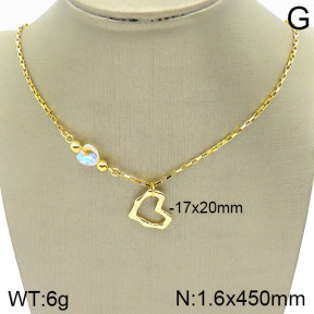 Stainless Steel Necklace  2N4001736vbll-420