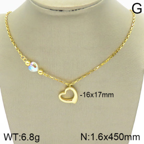 Stainless Steel Necklace  2N4001737vbll-420