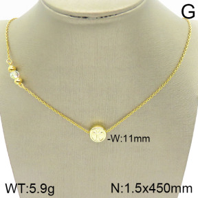 Stainless Steel Necklace  2N4001738vbll-420