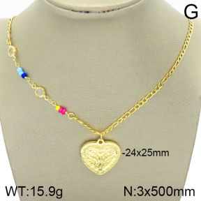 Stainless Steel Necklace  2N4001740vbll-420